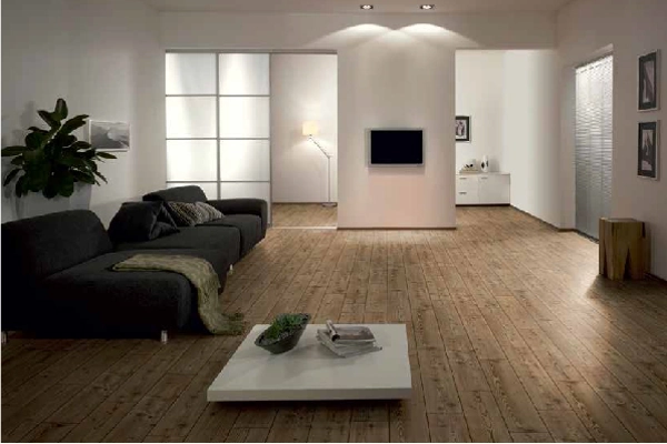 Modern living room with rustic wood flooring.